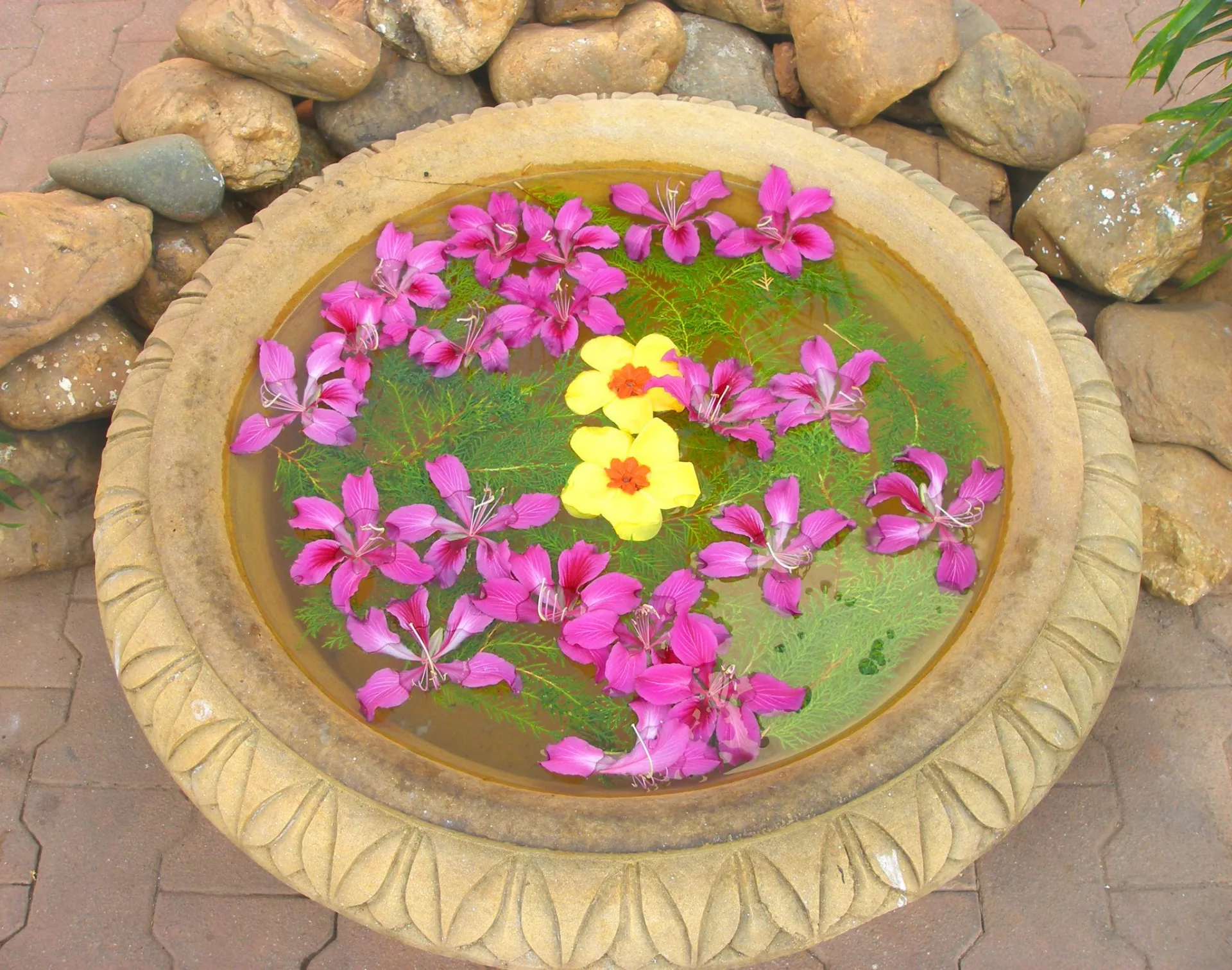 Pink Sandstone Outdoor Urli Bowl with Scalloped Rims Antique Finish with Matte Wax Polish